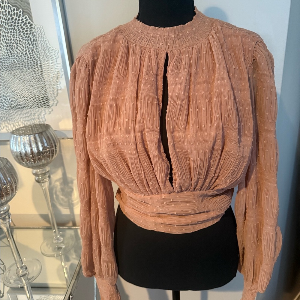 Light Pink/Salmon color Ruched Long Sleeve Blouse with Mandarin Collar